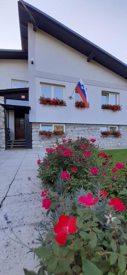 Križe Apartmaji Mojca מראה חיצוני תמונה