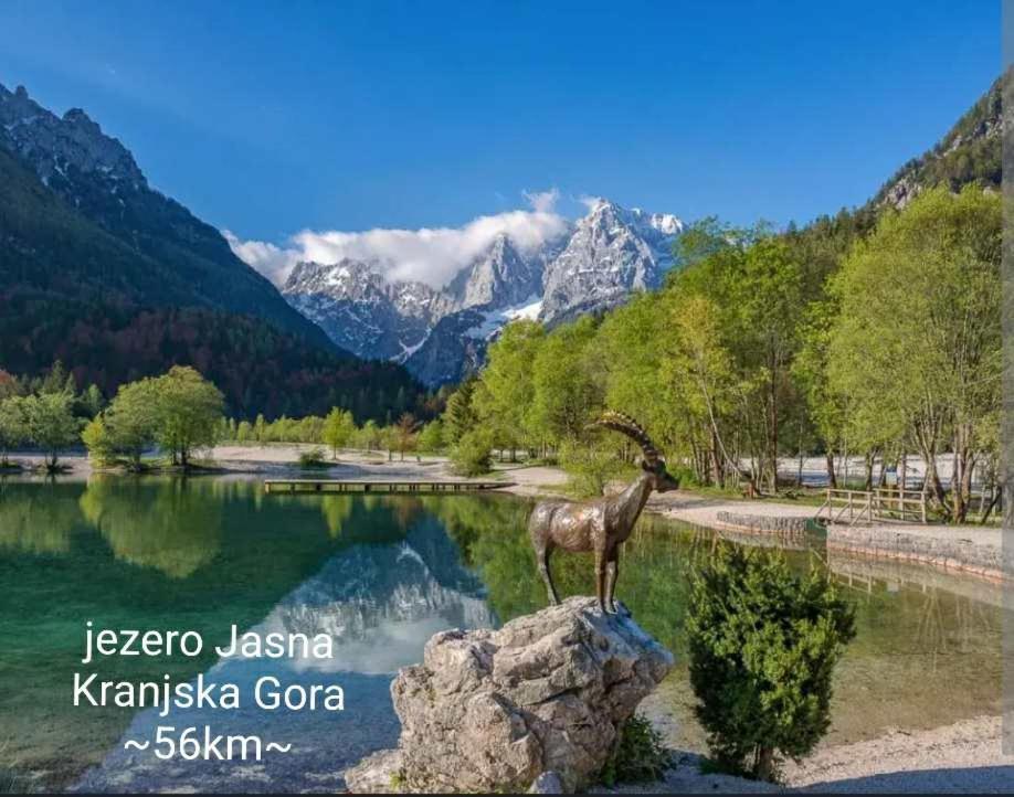 Križe Apartmaji Mojca מראה חיצוני תמונה